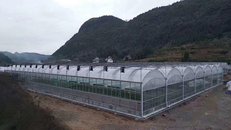 multi span greenhouse