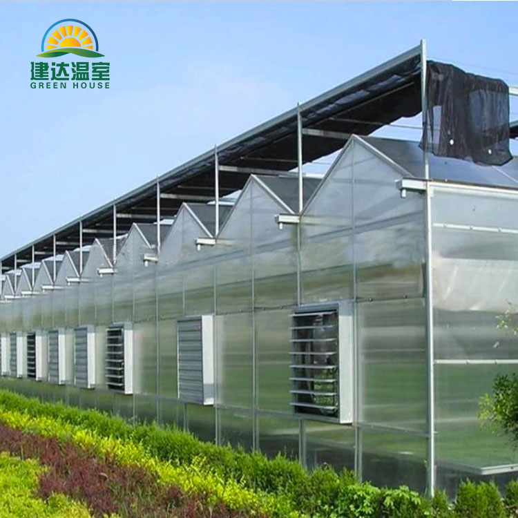 Venlo Polycarbonate Greenhouse