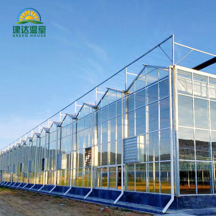 Muti Span Venlo Hollow Glass Greenhouse