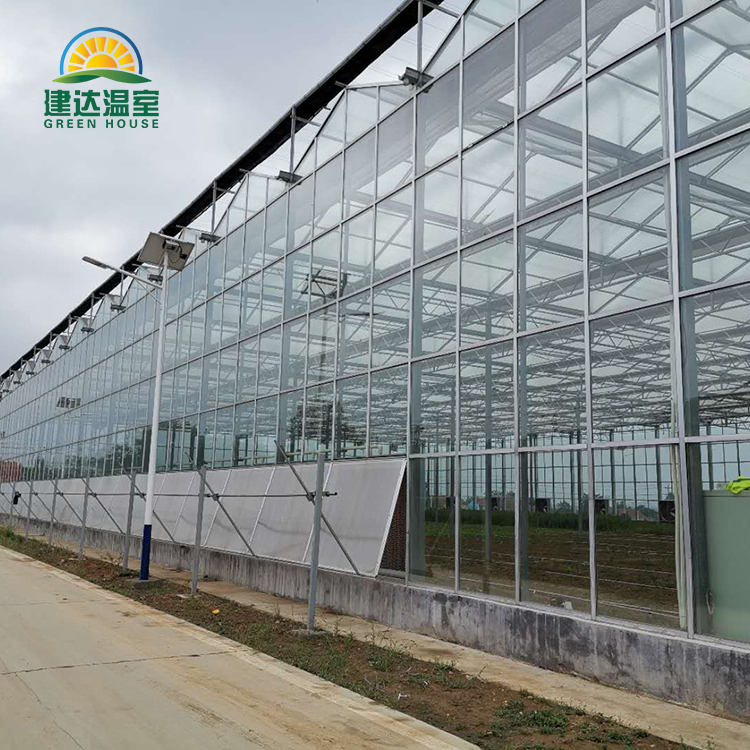 China Glass Greenhouse