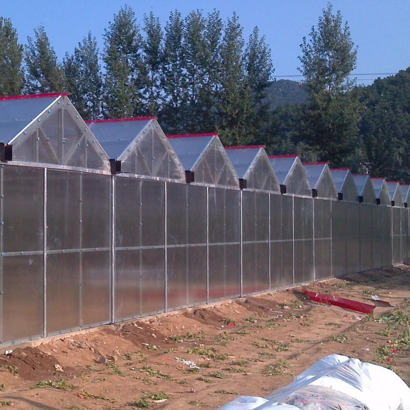 polycarbonate greenhouse for herms