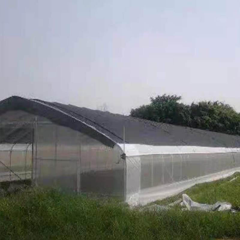 small Tunnel Greenhouse