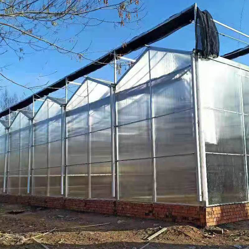 tomato PC greenhouse
