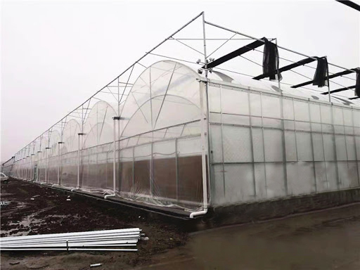 UZ greenhouse