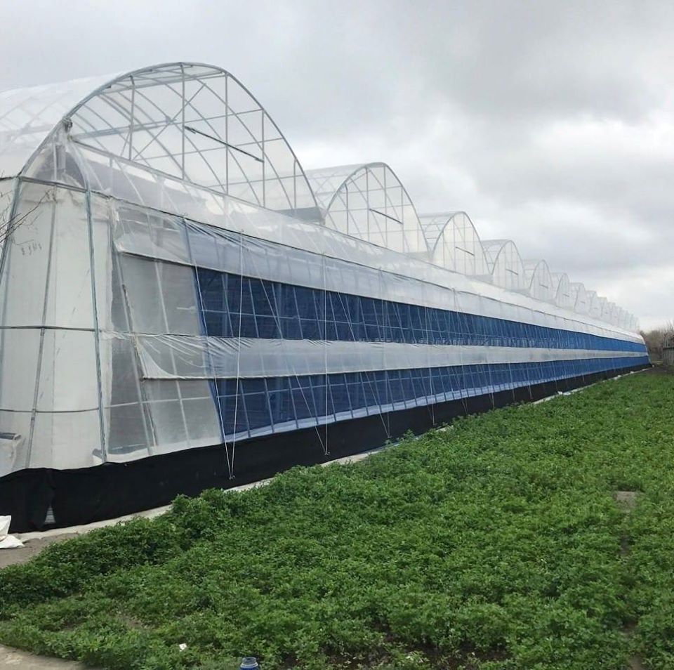 warm greenhouse for UZ cold area