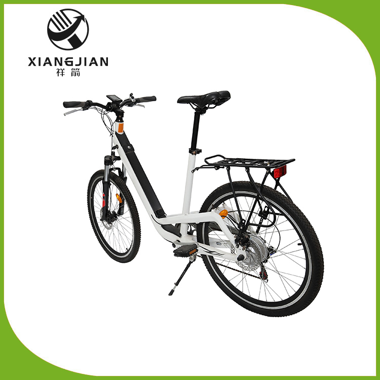 Battery Electric Bicycle Pedal Assist Rear Drive is your ideal transportation tool