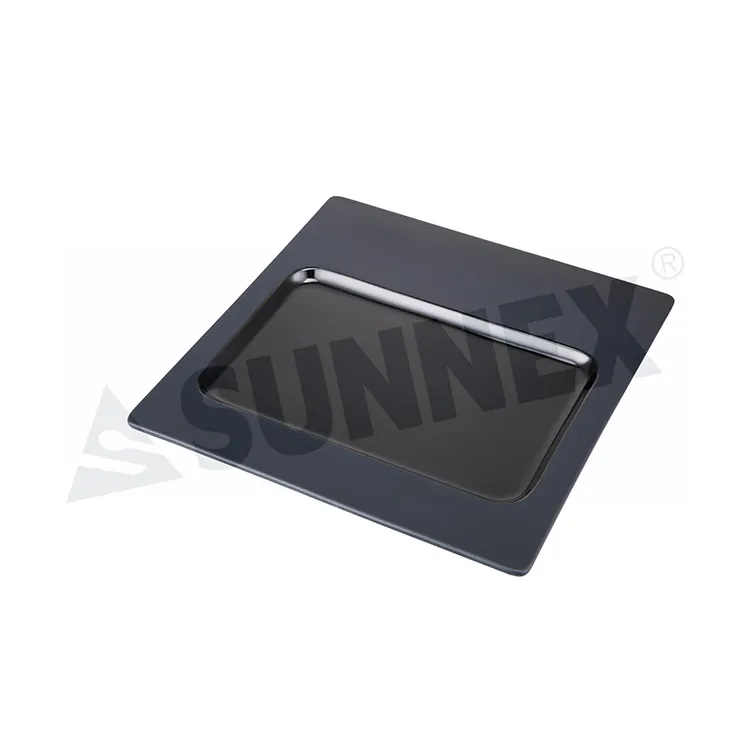 Black Color Porcelain Rectangular Display Plate