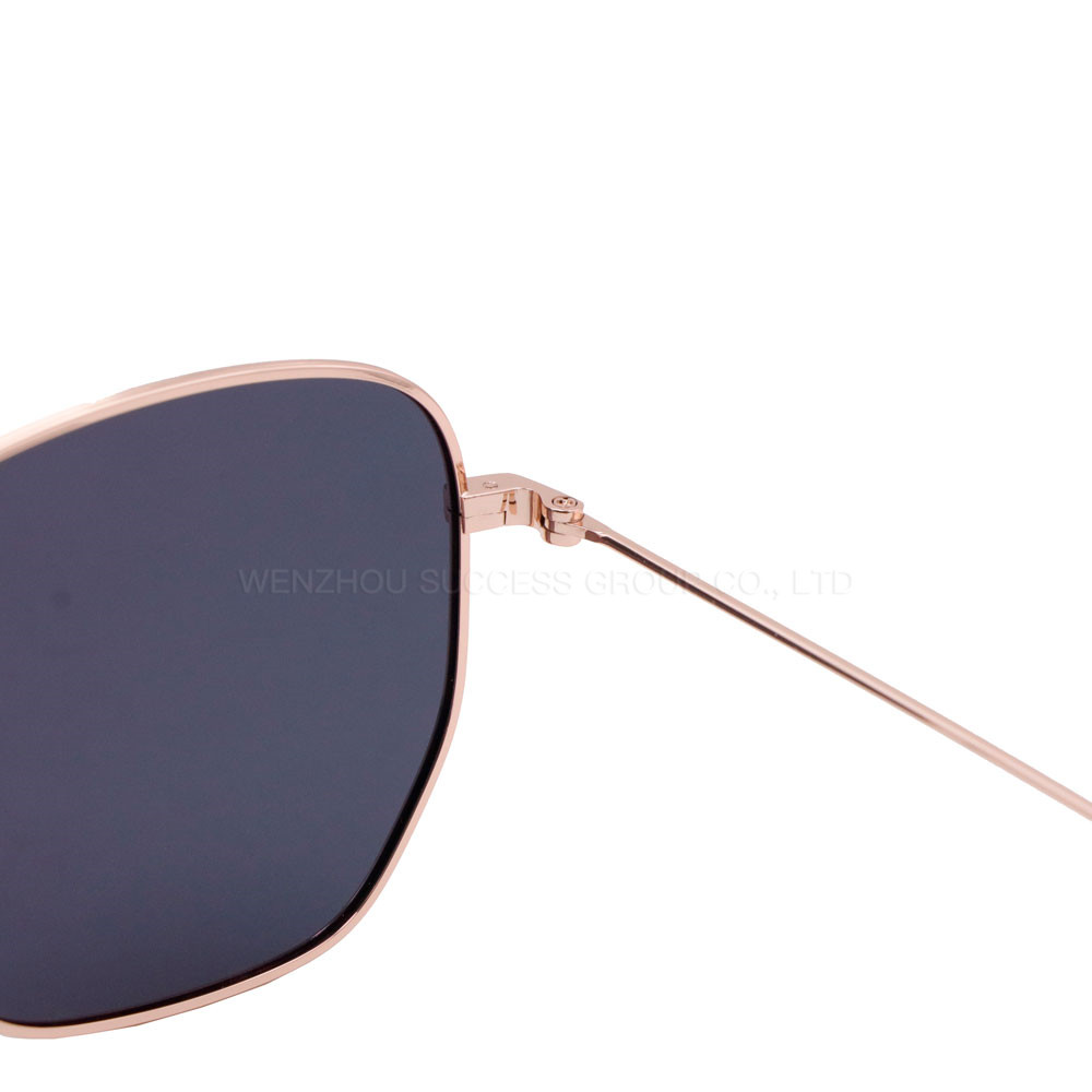 Ready Stock Sunglasses SJL9505 - 5
