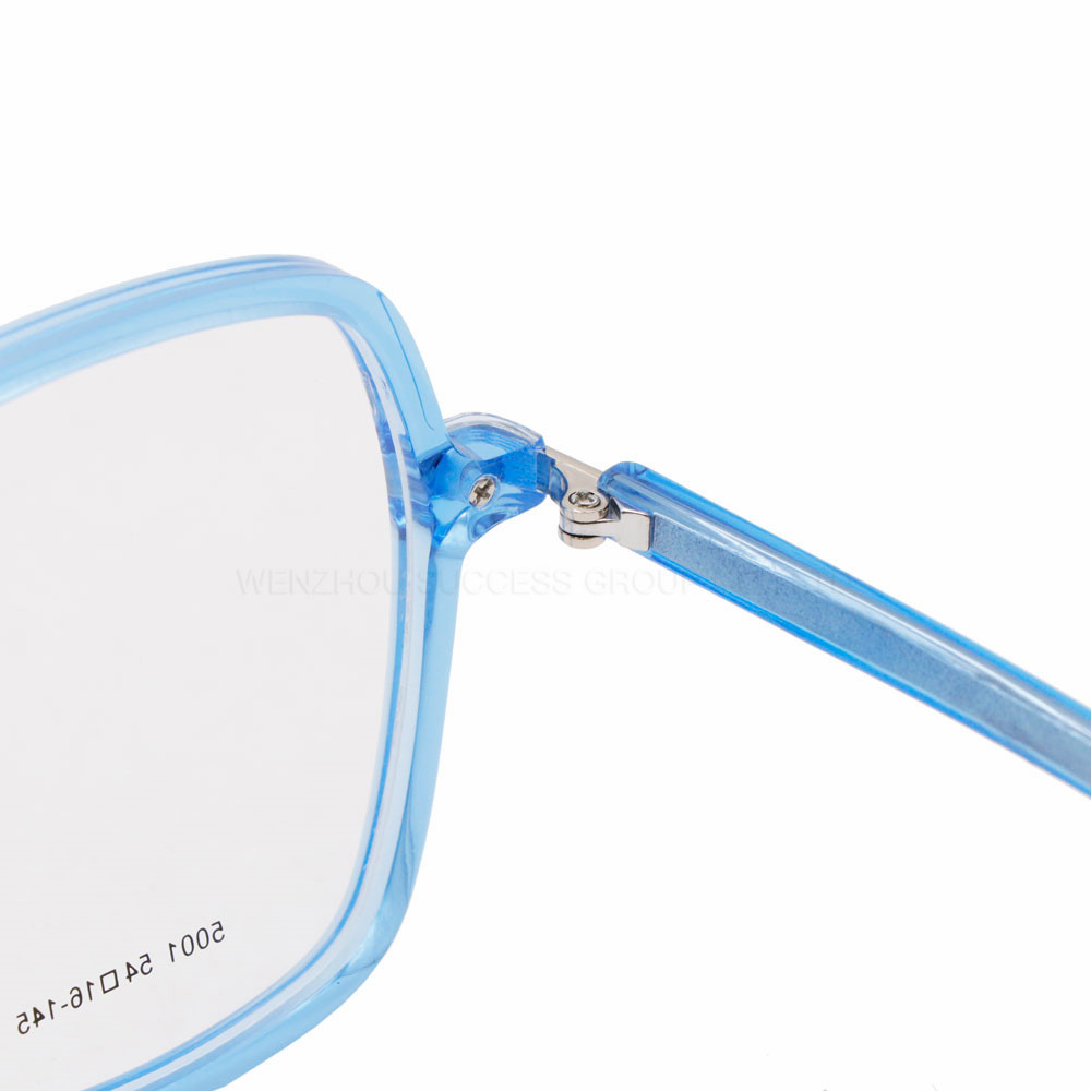 Acetate Optical Glasses SJL5001 - 4 