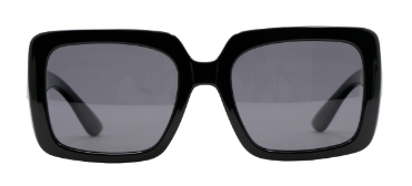 Unisex Plastic Sunglasses SJH23001