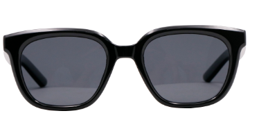 Unisex Plastic Sunglasses SJH23004