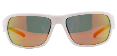 Unisex Plastic Sunglasses SJH23011