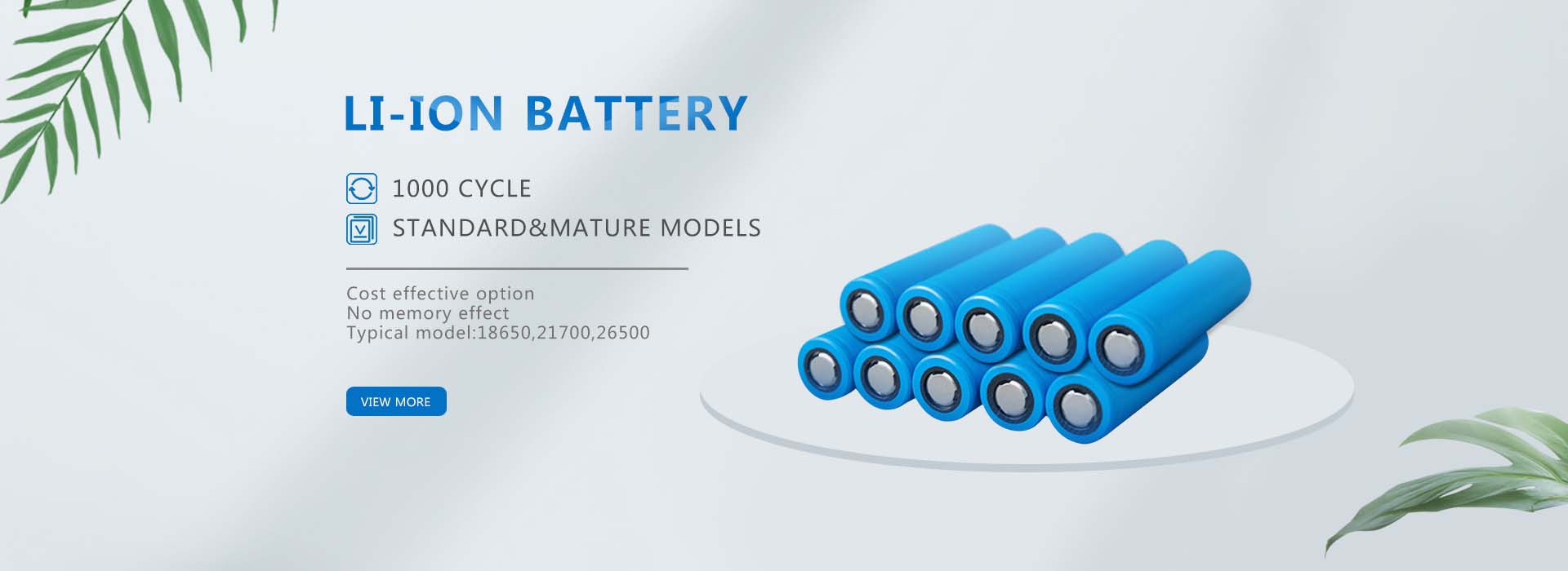 Li-ion Battery Manufacturers