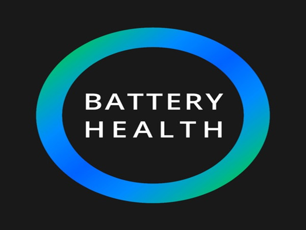 Do you know the lithium battery state of health assessment model?