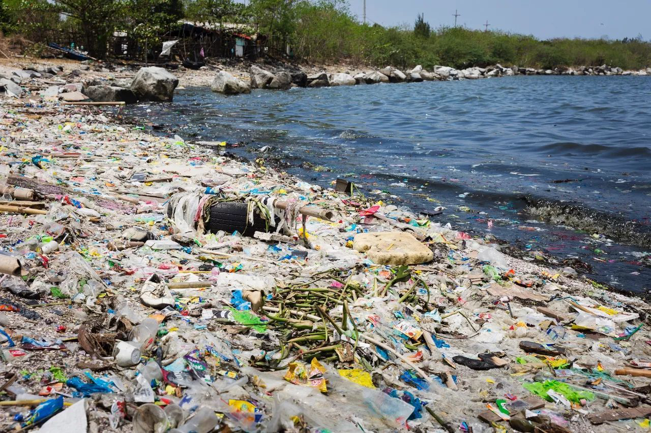Mengitar semula sampah plastik menjadi harta karun, agen pemutih pendarfluor adalah mustahak