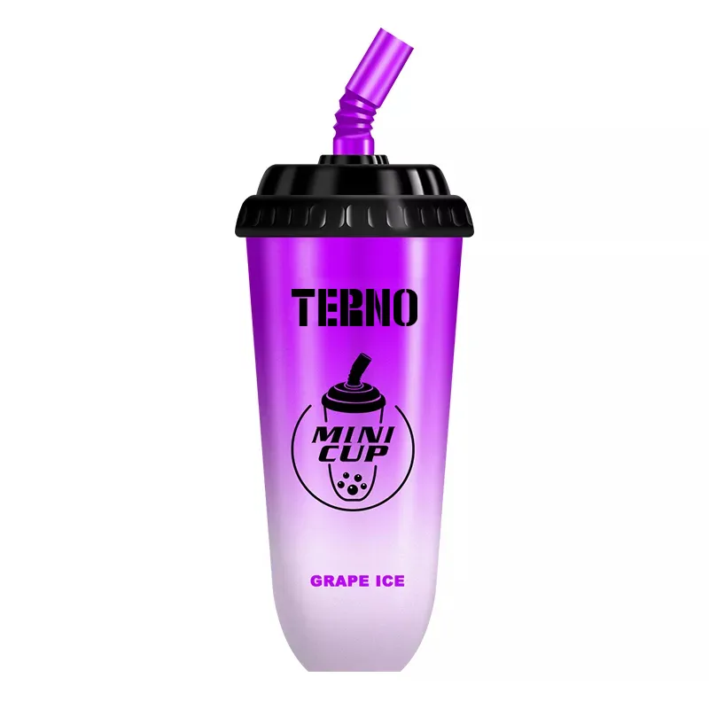 TERNO 5000 Disposable Vape