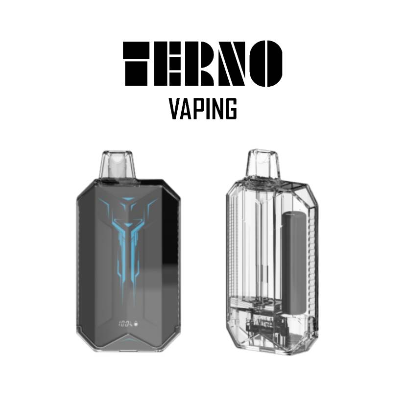 Terno Transformers Style Disposable Vape with Led Sreen