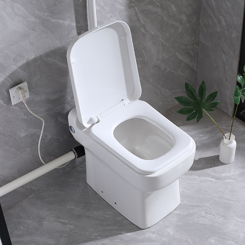 „Macerator“ tualetas 2 įvadų tualeto kriauklės tualetas