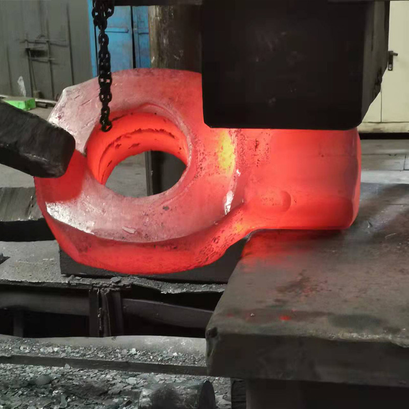 Ring Type Special-shaped Forgings - 0