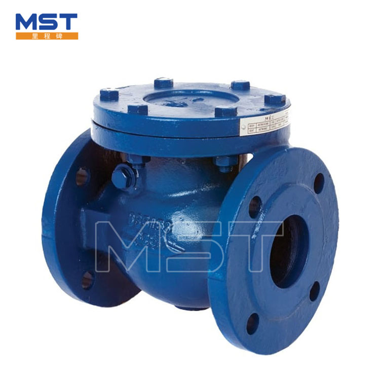 Swing Check Valve Flanged - 0
