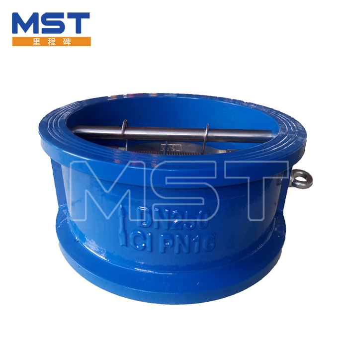 Automatic Butterfly Check Valve - 1