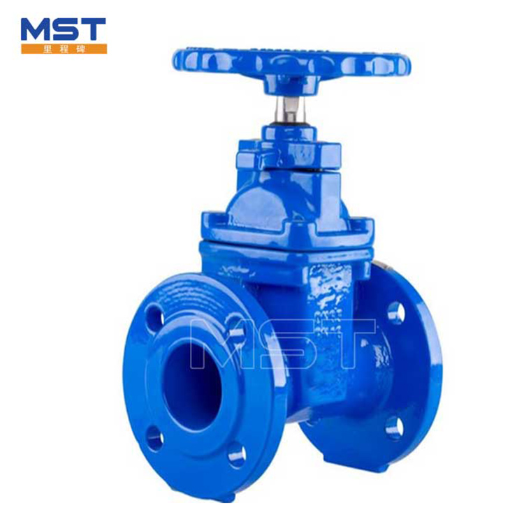 Gate Valve For Water Line - 1