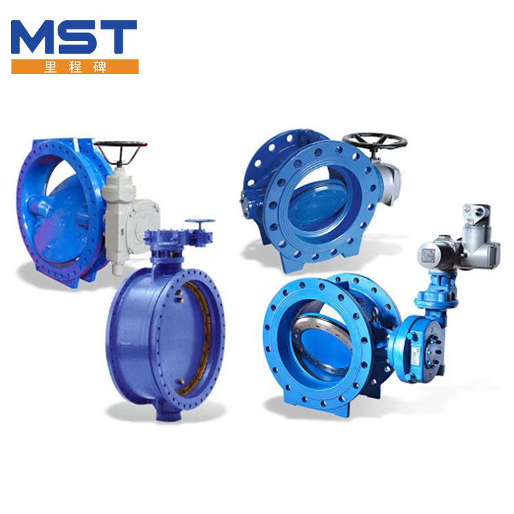High Performance Double Offset Butterfly Valve - 2 