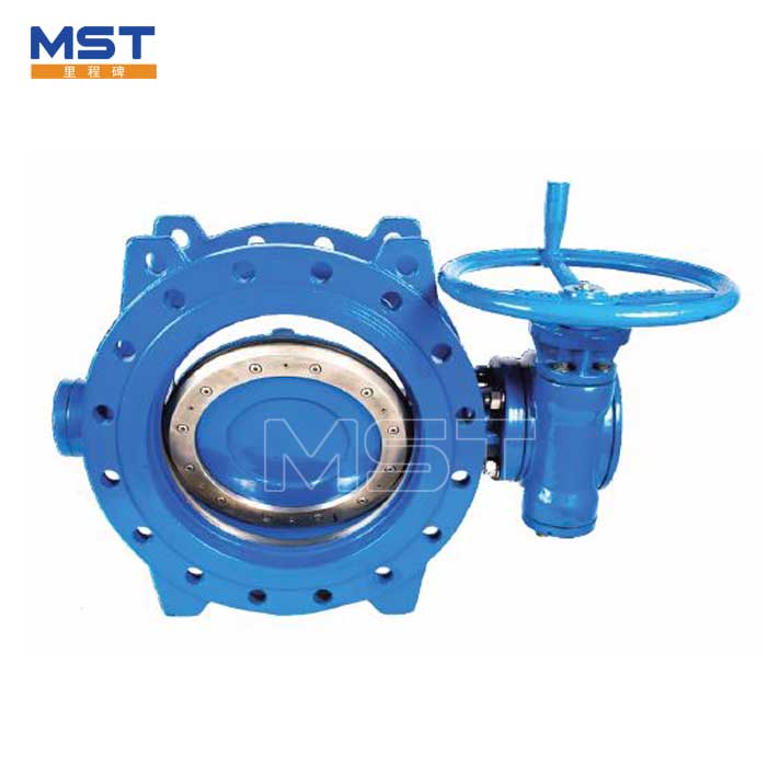 Double Offset Butterfly Valve - 1 