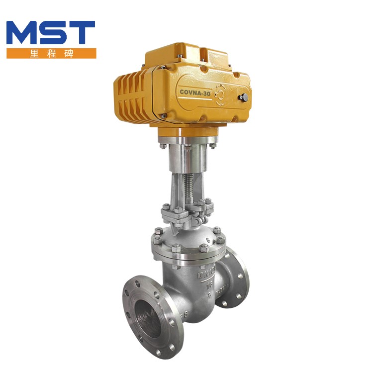 Electric Stainless Steel Gate Valve - 2 