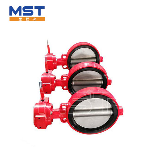 Buong Bore Butterfly Valve - 2 