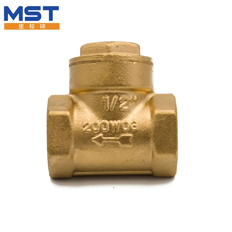 Hot Water Heater Check Valve