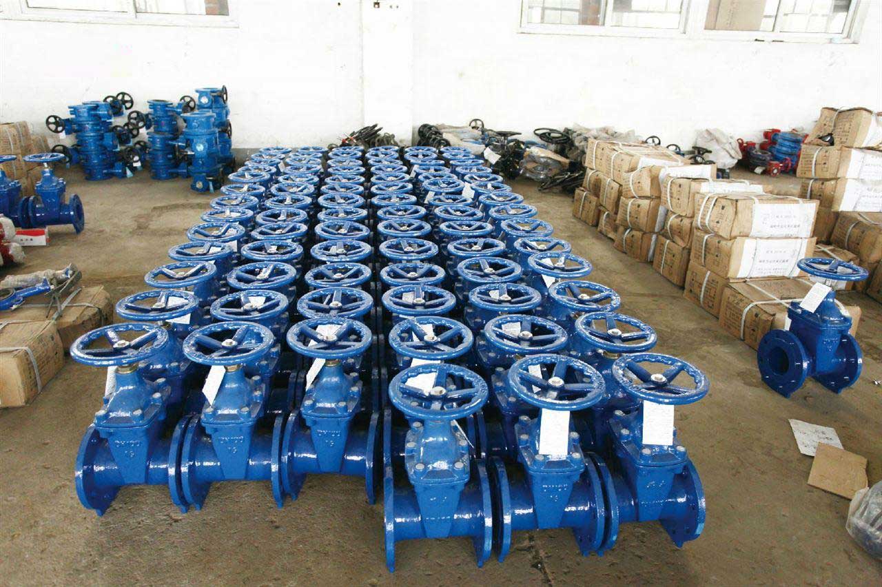 Resilient Seal Gate Valve