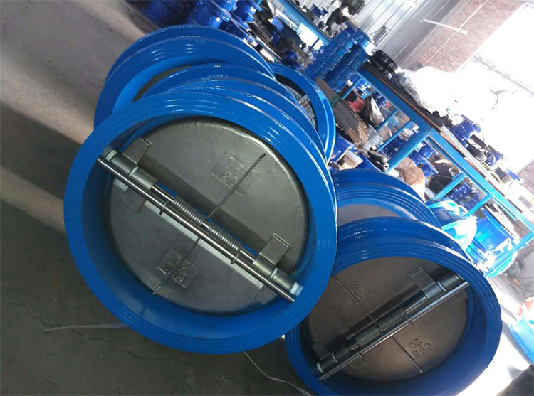 Dual Plate Wafer Check Valves