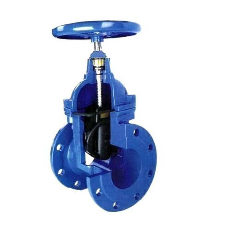 Resilient wedge Iron gate Valves