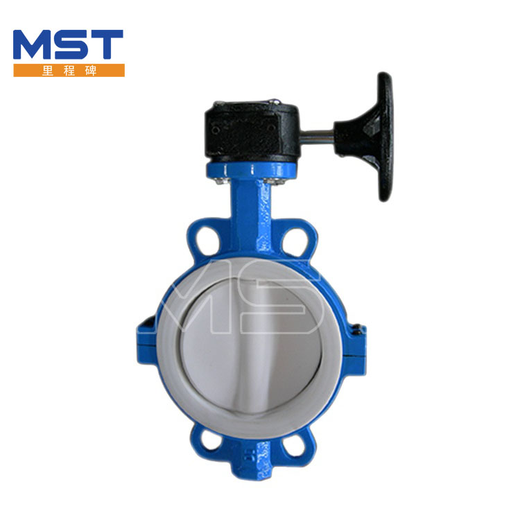 Lined Butterfly Valve - 5