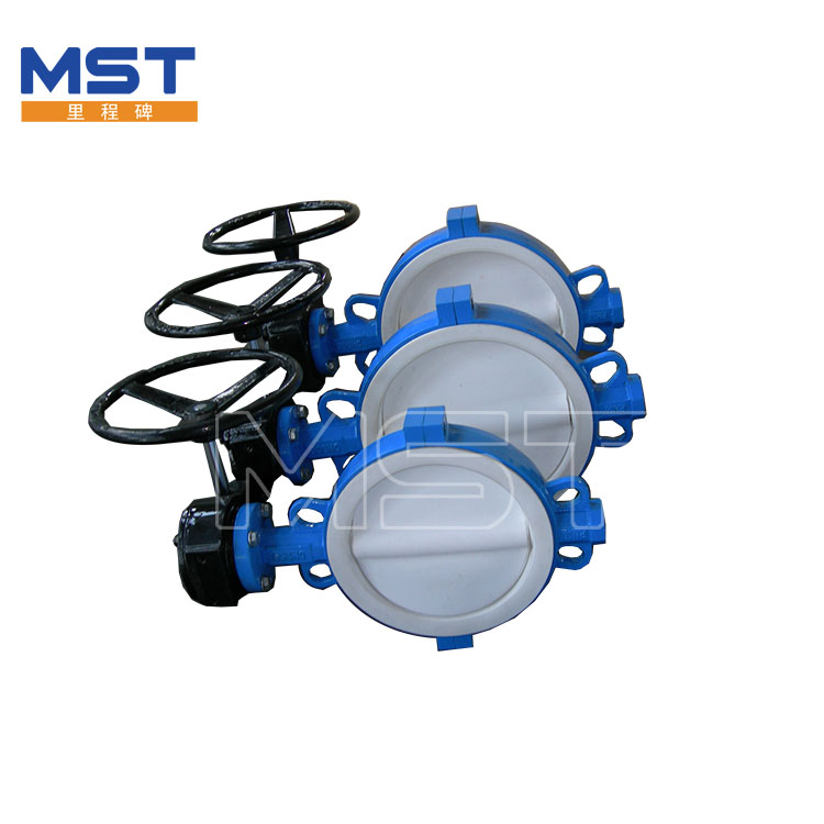 Lined Butterfly Valve - 4