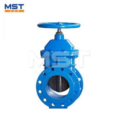 Resilient Seated Gate Valves - 1 