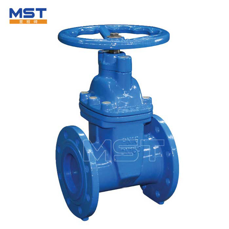 Resilient wedge Iron gate Valves