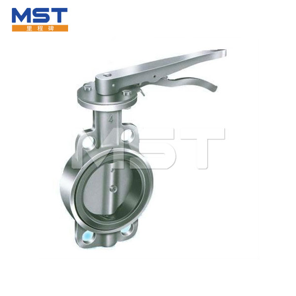 Stainless Steel Butterfly Valve - 2