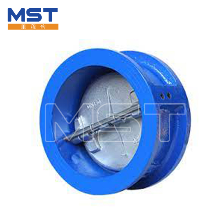 Dual Plate Wafer Check Valves - 2 