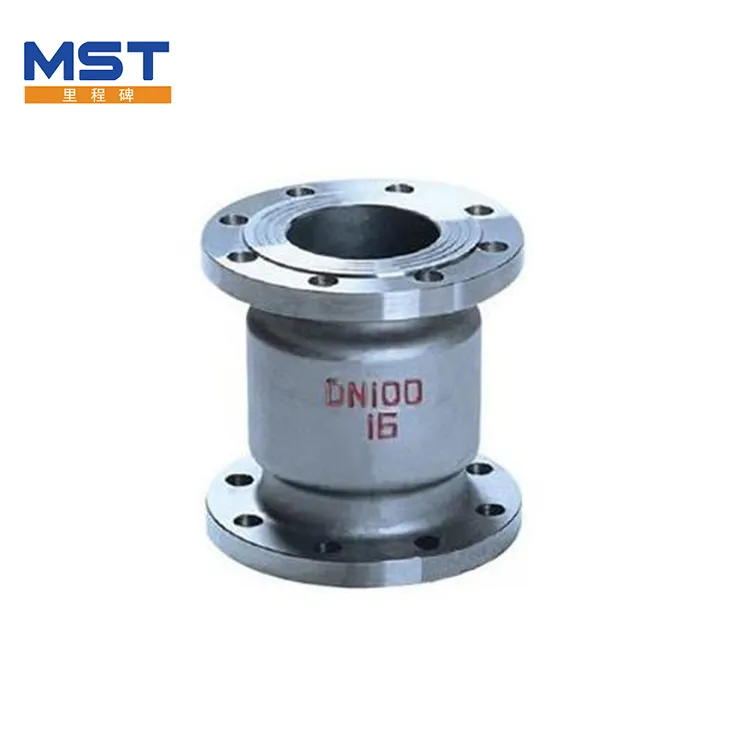 Vertical Check Valve