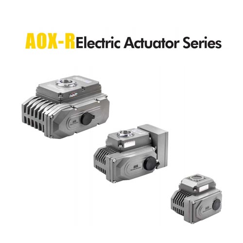 AOX-R-DC24V（Part turn electric actuator)