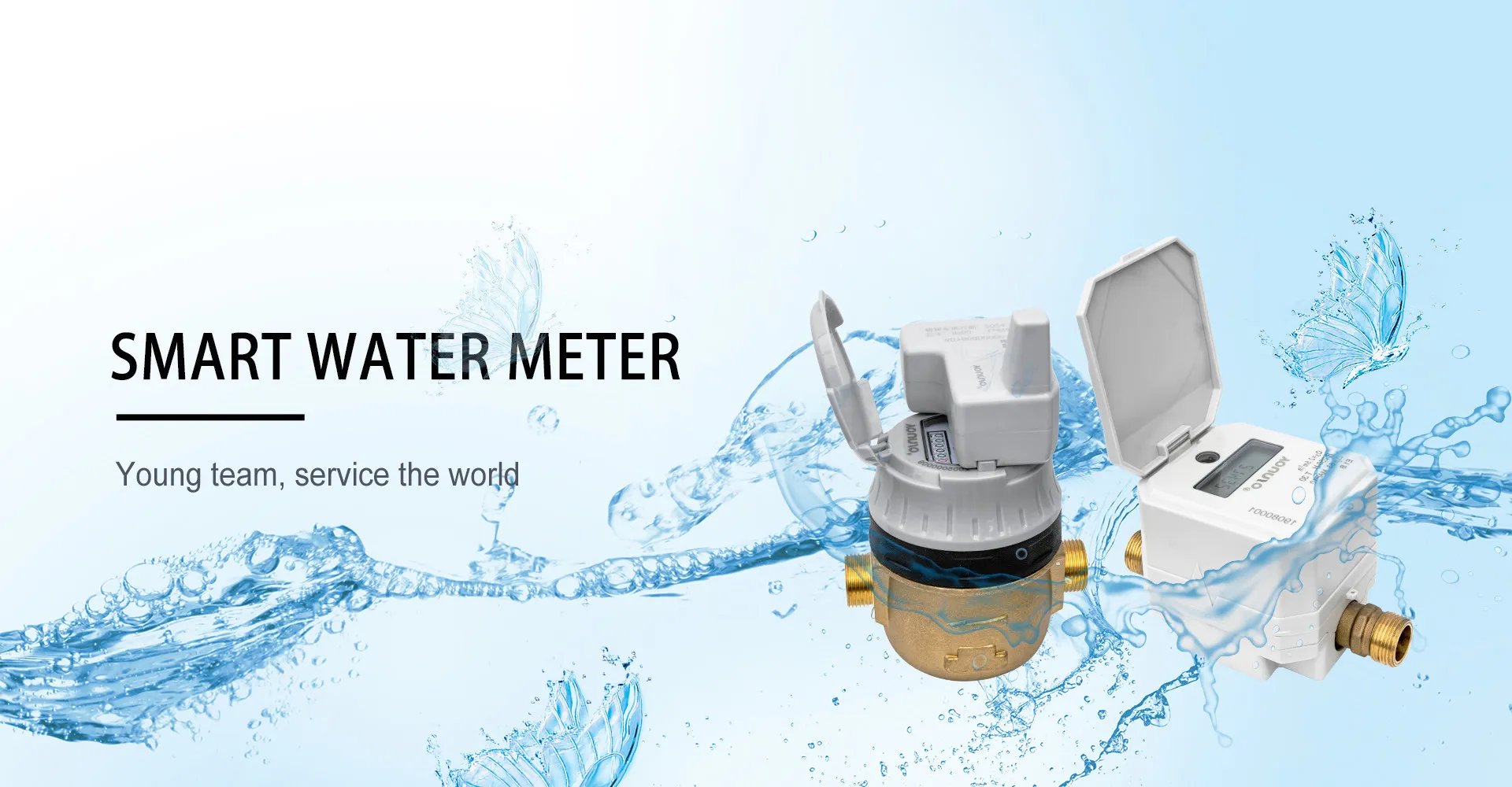 Smart Water Meter