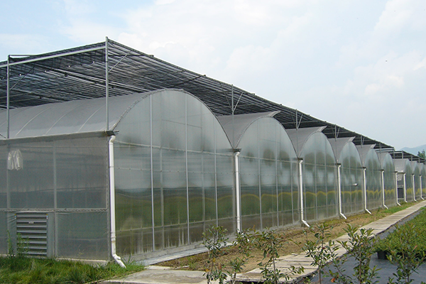 Is there an industry standard for greenhouse plant supplemental lighting? How to avoid traps when buying?