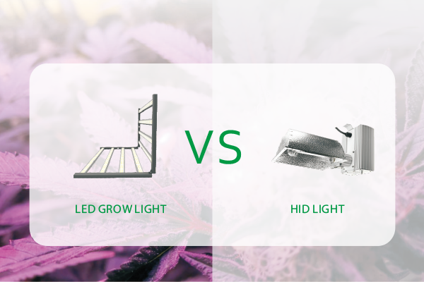 LED vs HPS