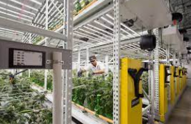 Cannabis Cultivation Equipment