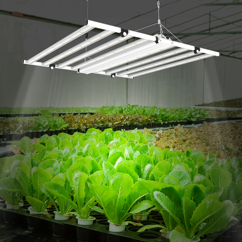 New generation 1000W Foldable LED Grow Light Horticulture Lighting - 3