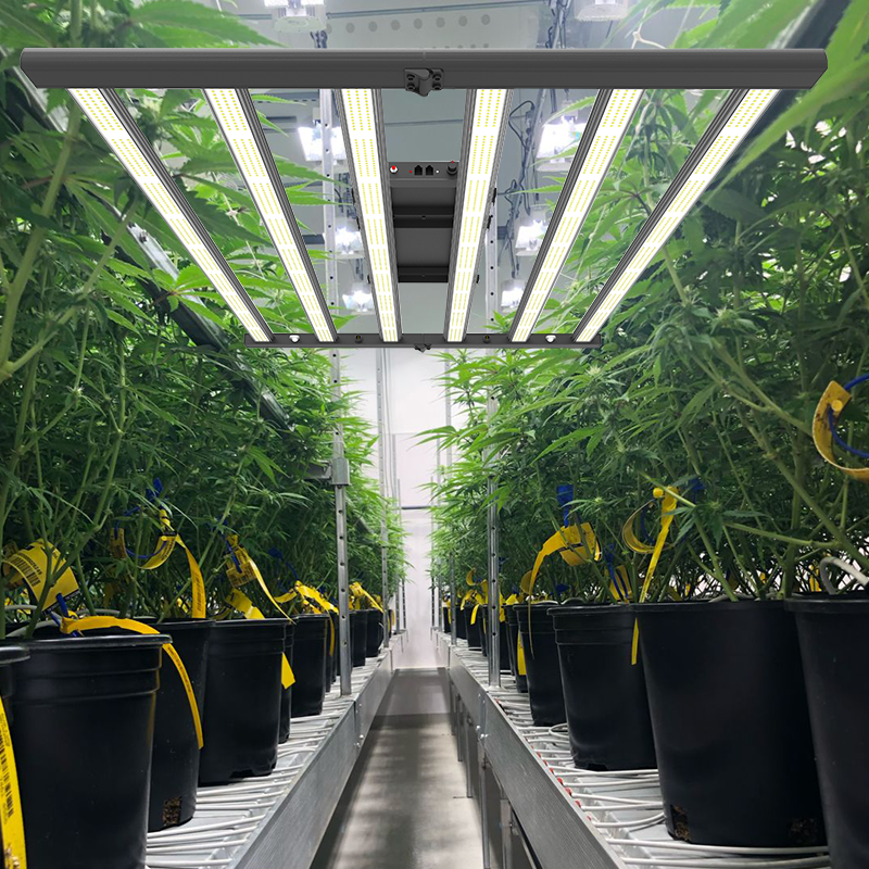 Mejor luz de cultivo LED plegable para cannabis y cáñamo - 4