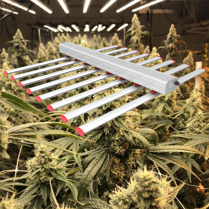 Luz de cultivo LED de 800 vatios de alto PPFD para cannabis - 4 