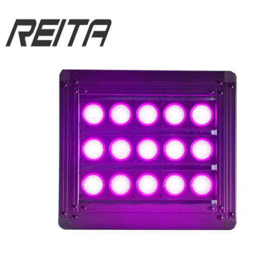 LED Grow Light 300W